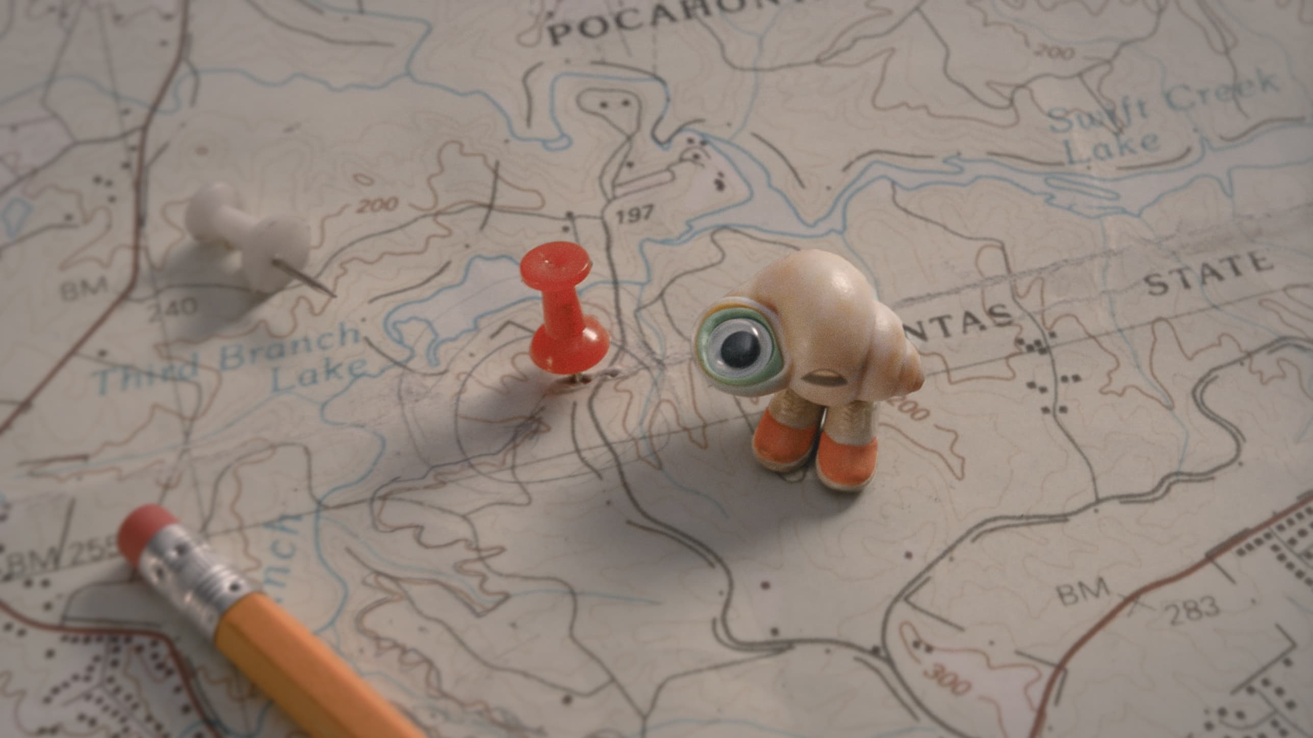 Marcel The Shell with Shoes On